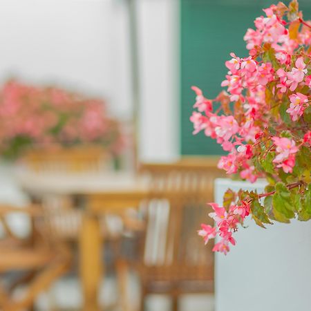 Comercial Boutique Guest House Ponta Delgada Exterior foto