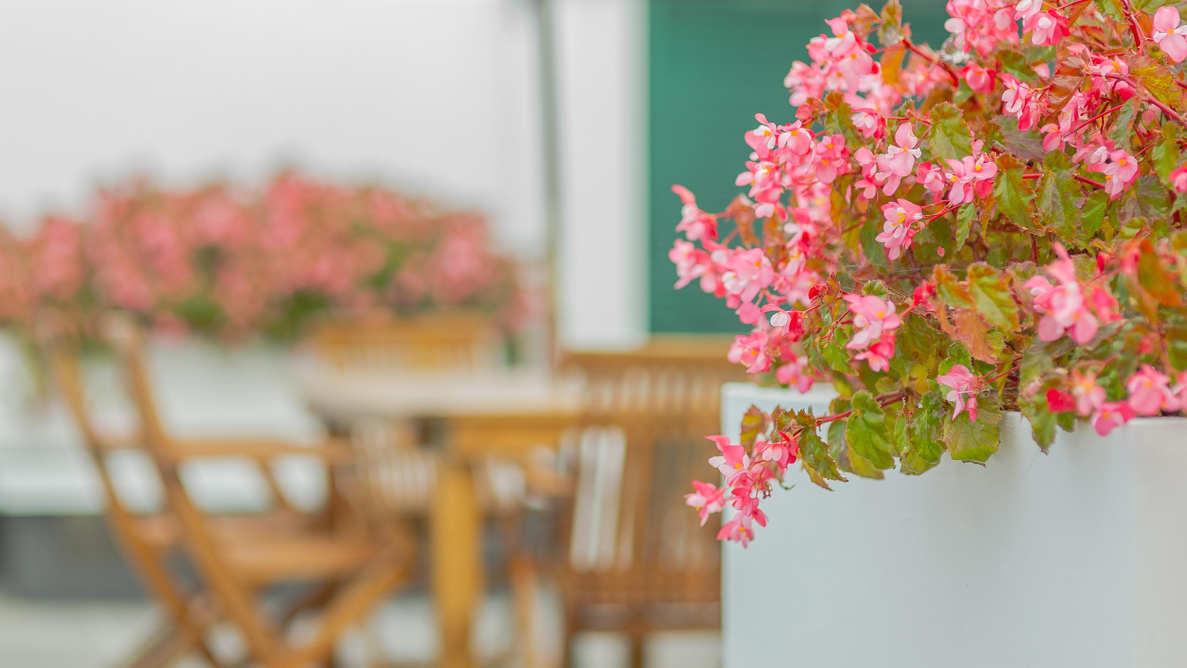 Comercial Boutique Guest House Ponta Delgada Exterior foto